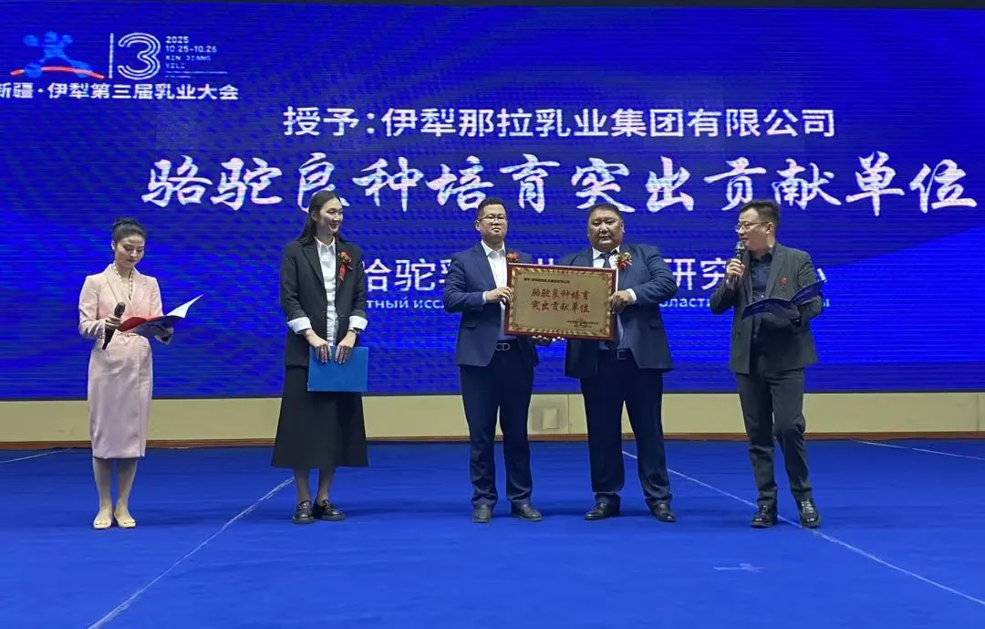 1761617273266831.png 图片 16.png