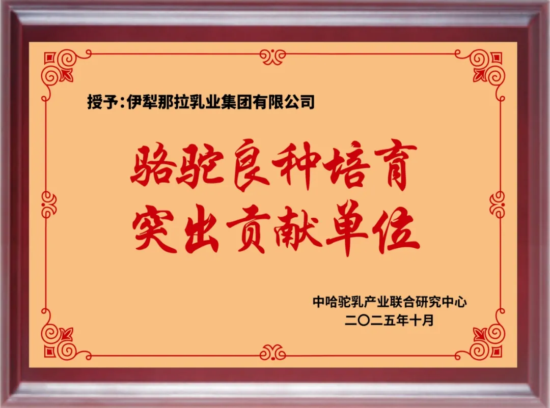 图片 17.png