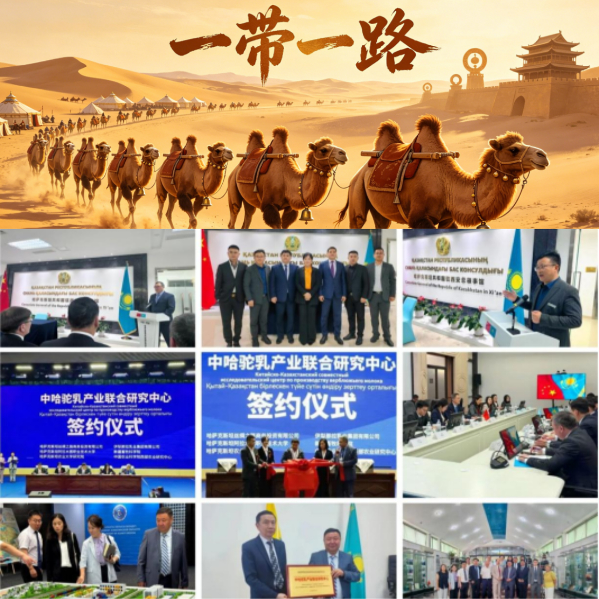 图片 4.png