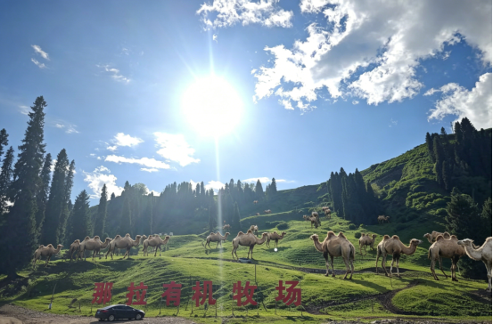 图片 1.png