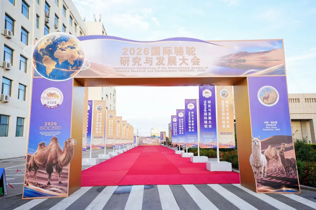图片 3.png